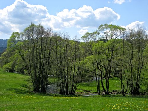 Teisnach (river)